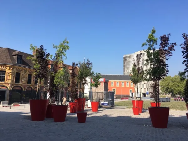 Loue Appartement 42m² vieux Lille - 1 chambre