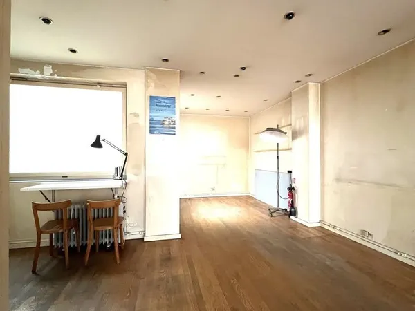 Local 1 pièce 53 m²