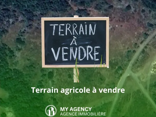 Terrain agricole 60 000 m2