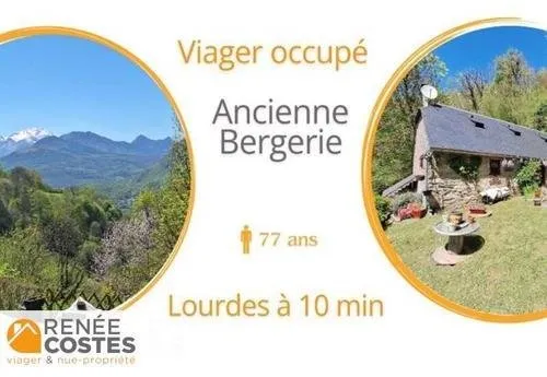 Viager occupé - H78 ans - LOURDES (65100)