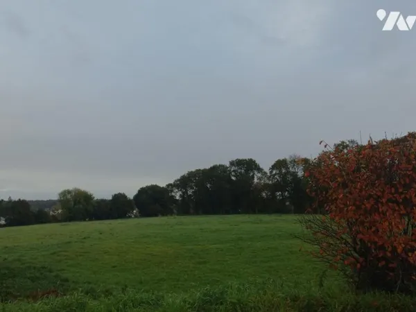Terrain 261 m²