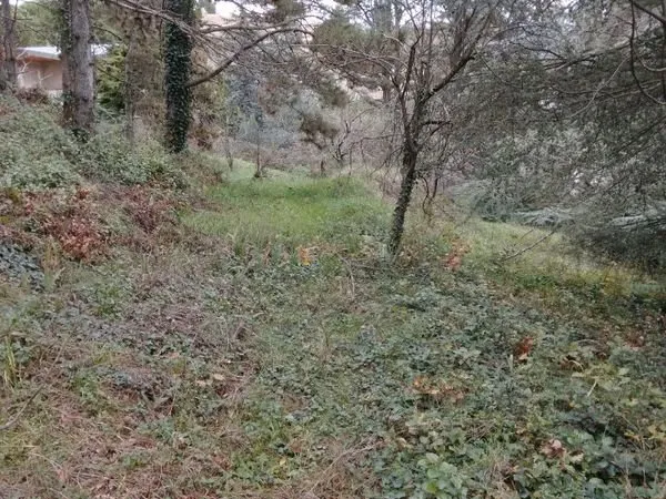 Terrain 990 m² SAINT PERAY