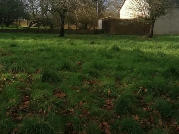 Terrain 499 m²