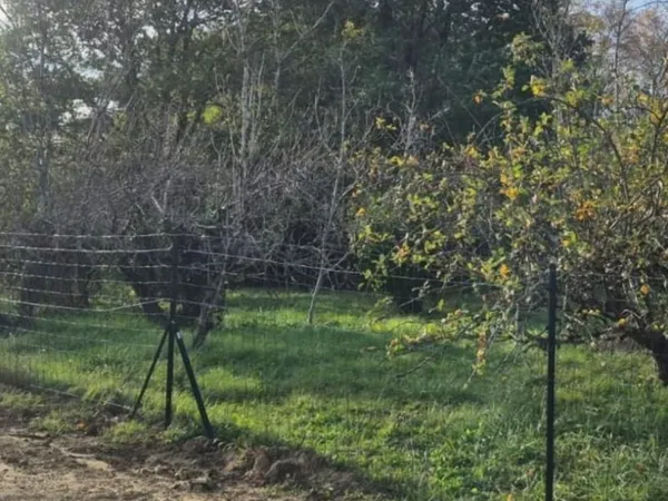 Terrain 825 m² Venes