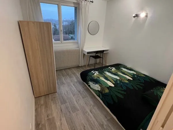 🔥 2 chambres dispo - Colocation rénovée avec vue sur Lyon - Tassin centre