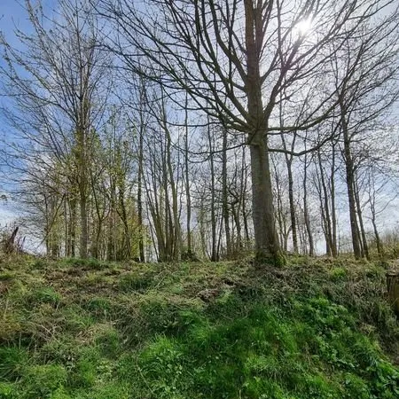 Bois 1060 m²