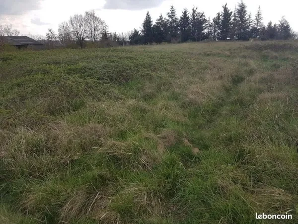 Location terrain agricole