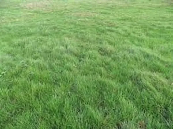 Terrain 708 m²