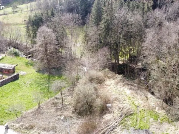 Terrain 1 000 m² Steige