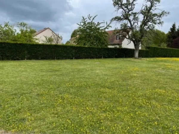 Terrain 560 m²