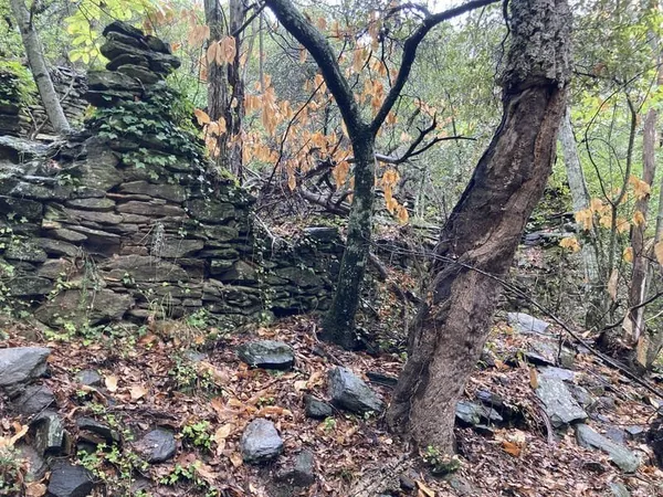 vente de terrain de 249207 m2 en espace boisé classé avec ruine d'une bergerie en exclusivité