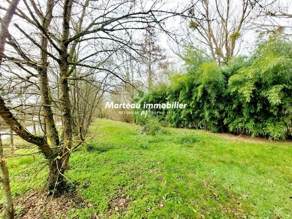 Terrain 5732 m² YVRE L EVEQUE