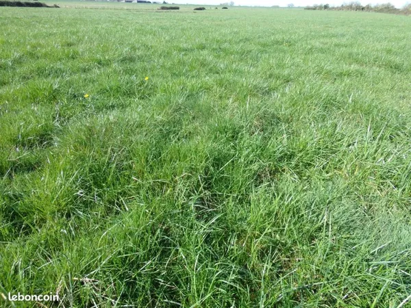 80 hectares de terres agricoles