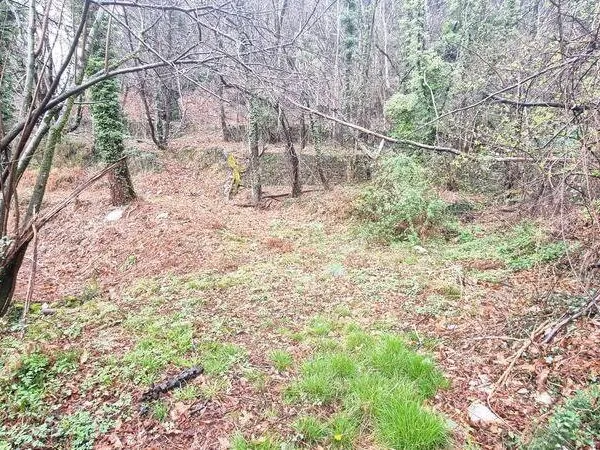Terrain constructible 9403 m²