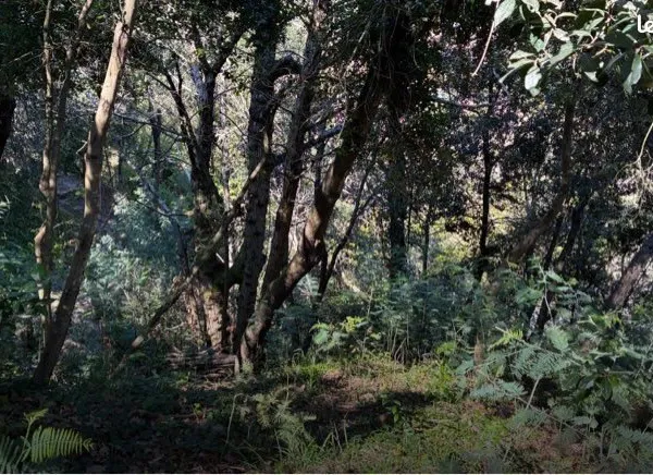 Terrain non constructible Sainte Agnes- Menton