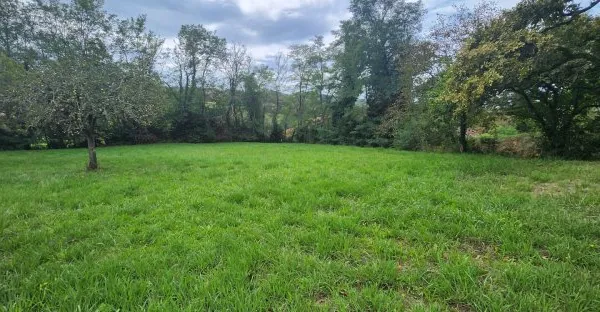 Terrain 2387 m²