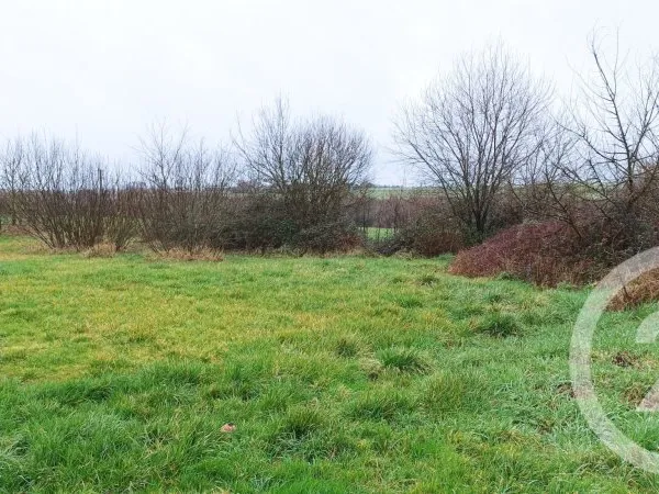 Terrain 1000 m²