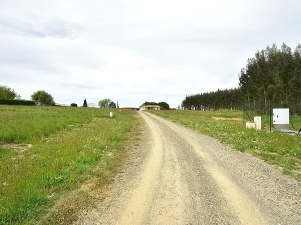 Terrain 982 m²