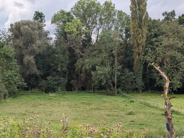 Terrain 1550 m²
