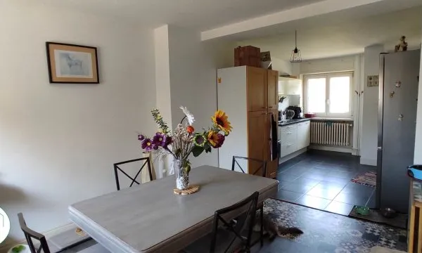 Maison de vilage avec jardin et garage