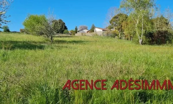 Terrain 1961 m²