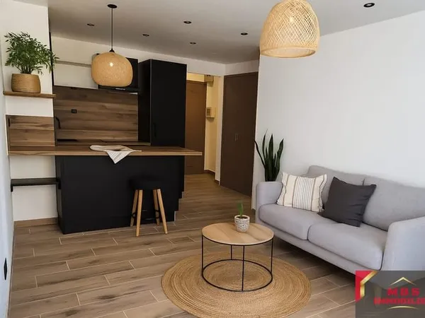 Perpignan secteur Torcatis Appartement T2 rénové avec goût