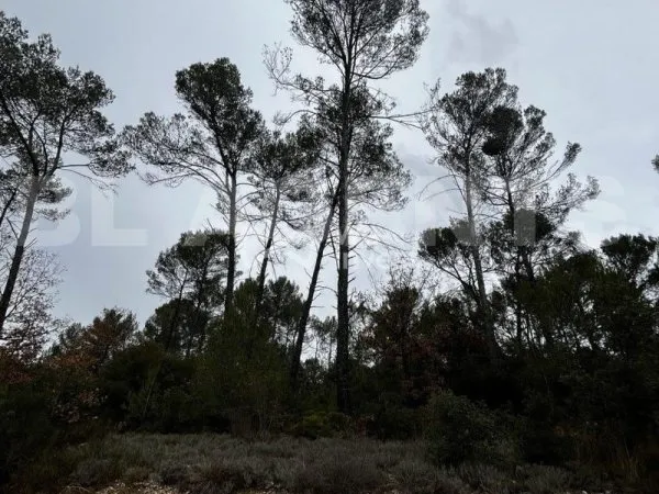 Terrain 5085 m²