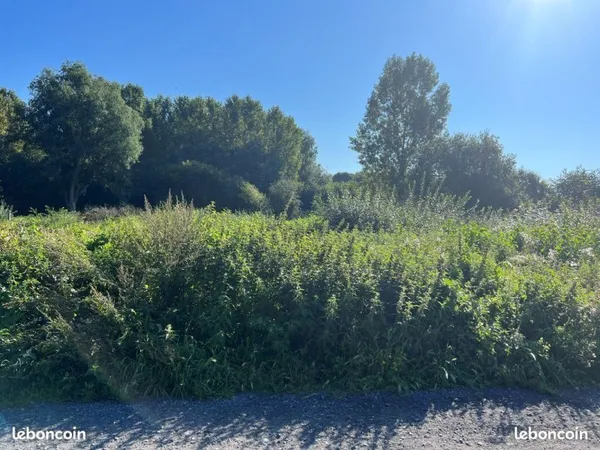 Terrain 500m2