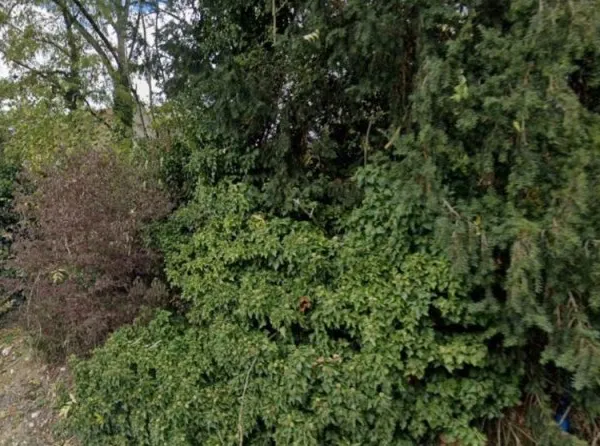 Terrain 657 m²