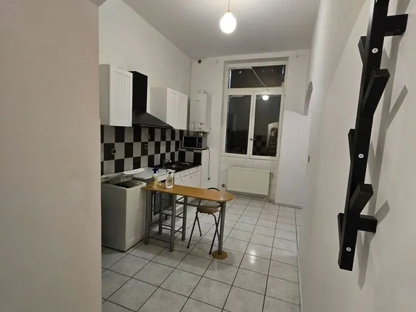 T1 bis meublé avec mezzanine - Emplacement exceptionnel Trefilerie Fac Jean Monnet