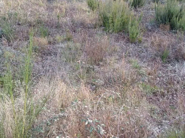 Terrain 957 m²
