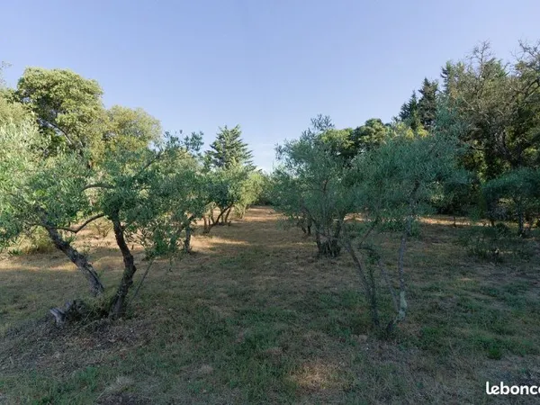 Grand terrain constructible, HORS LOTISSEMENT à Villevieille, proche de Sommiéres