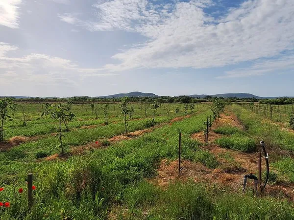 Terrain agricole Boissières 1,855 Ha