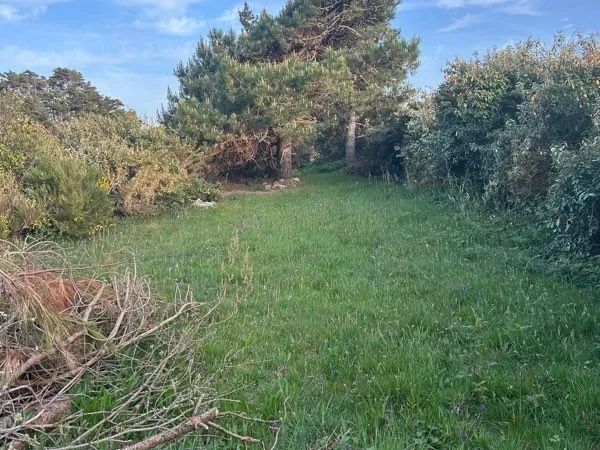 Location terrain de loisirs/ agricole en bord de mer