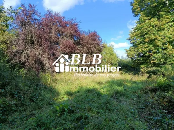 Terrain de 5220m2 arboré non viabilisé