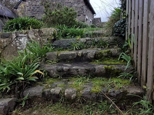 A vendre Maison avec Gite, proche mer, terrain clos et arbor