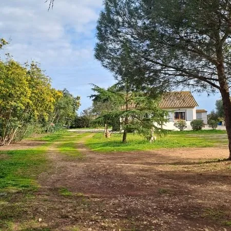 Maison et studio sur 5000m2