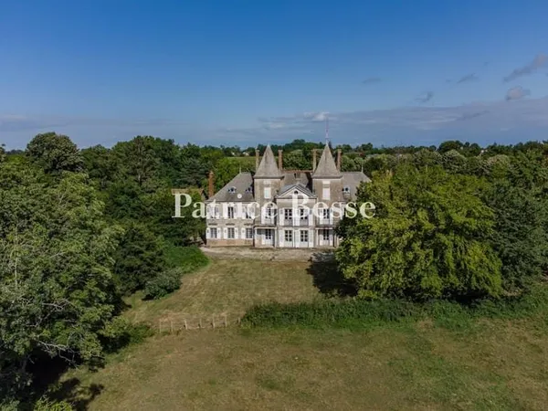 Aux confins de l'Ain et de la Bourgogne, en Val de Saône, un château à rénover, deux logements, des