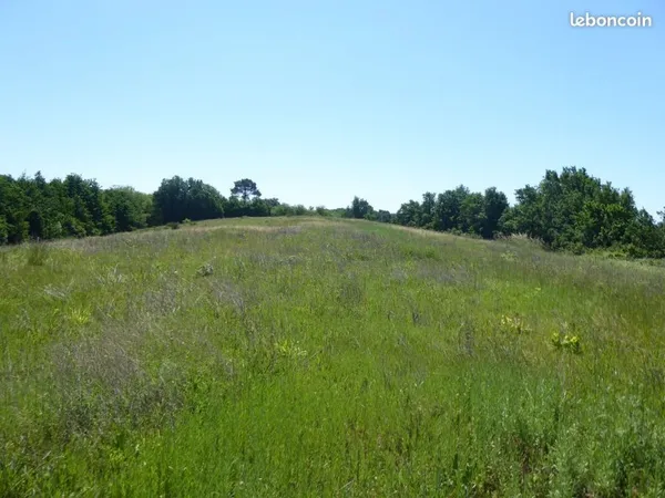 Terrain de loisir 2.38 hectares