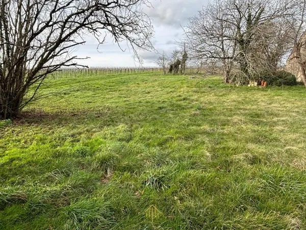 Entre BARBEZIEUX et CHATEAUNEUF, TERRAIN A BATIR