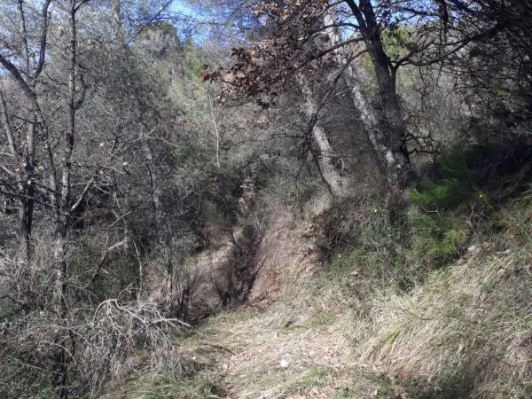 Terrain 2800 m²