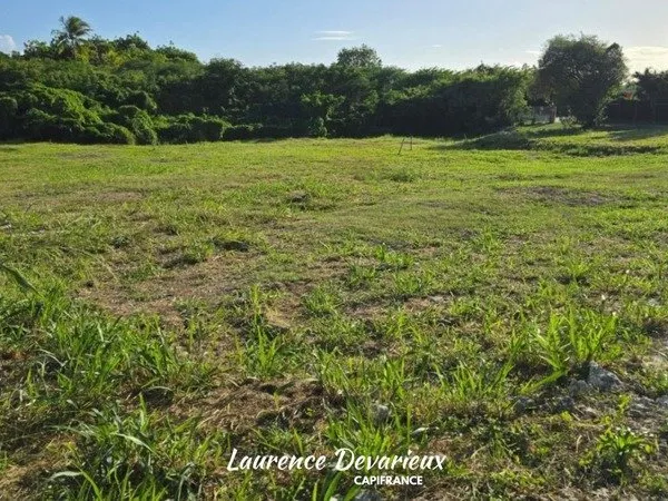 Terrain à vendre de 631,00 m² SAINT FRANCOIS (971)