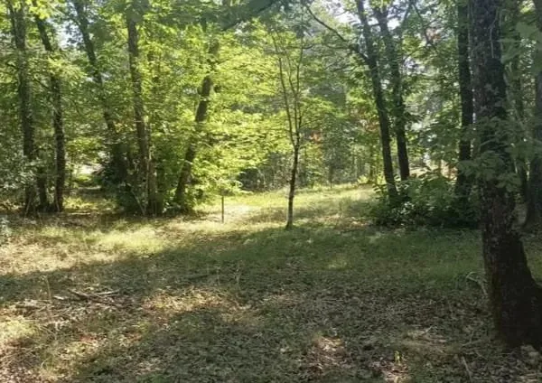 Terrain à bâtir à La Chapelle-Gonaguet (24330)