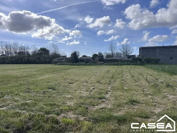 Terrain 442 m²