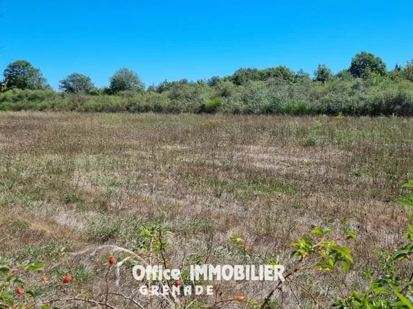 Terrain agricole