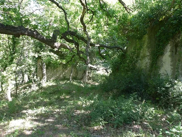 Rare Terrain 9 ha GRIMAUD