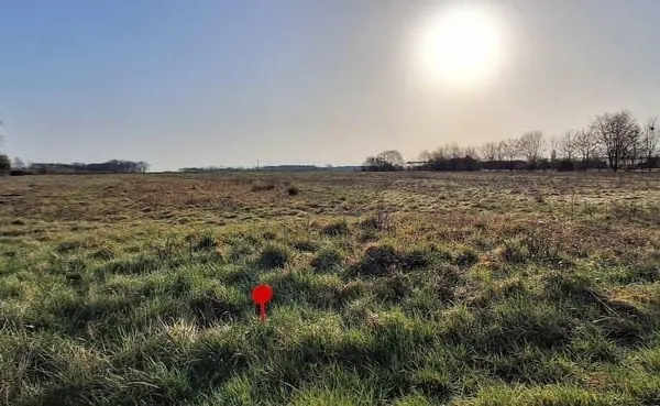 Terrain à batir Soings en Sologne 6000 m²