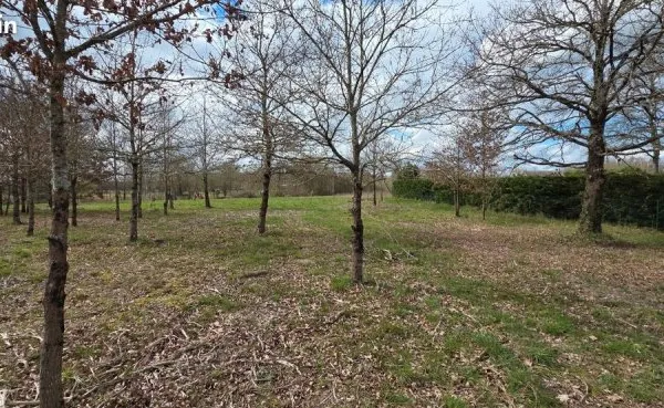 Terrain à construire 2830 m²