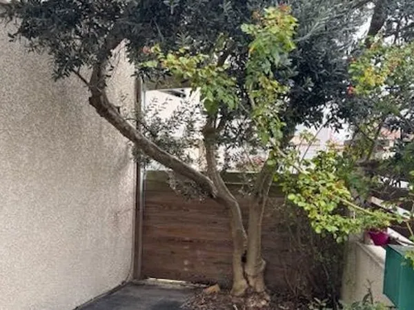 Maison 2 pièces 48 m²