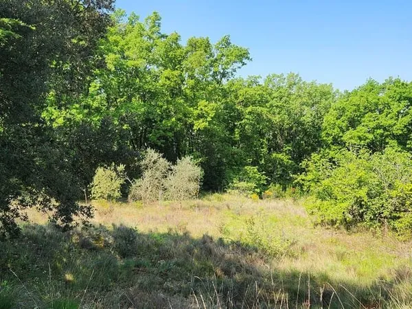 Terrain 1000 m²